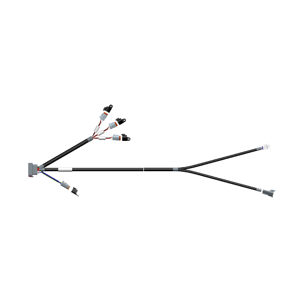 CABLE - CHANNEL [MOLD2F][CNX3PR] (6 FT)