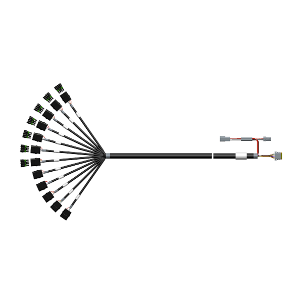 CABLE - 12 SECTION [WP4F] 6FT